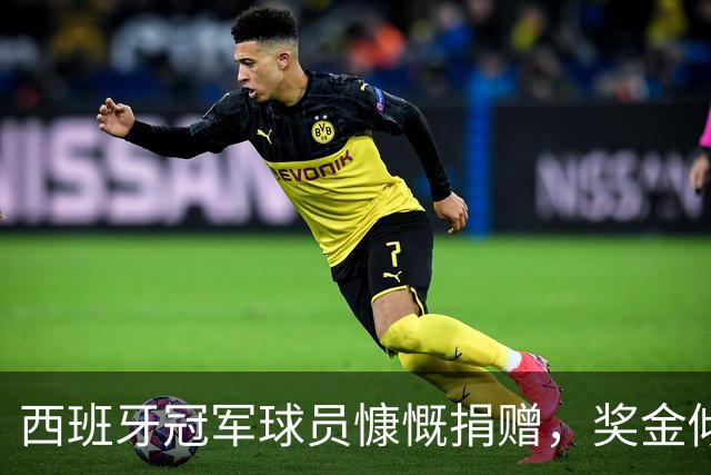 西班牙冠军球员慷慨捐赠，奖金倾情回馈足协幕后的英雄